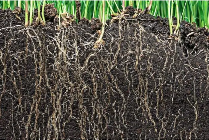 Soil investigation and analysis - BodemUP