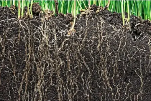 Bodemonderzoek en analyses - BodemUP